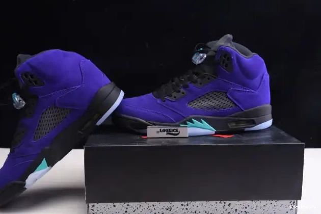 Kicktheory Jordan Grape Retro Alternate Air 136027-500 5 0531